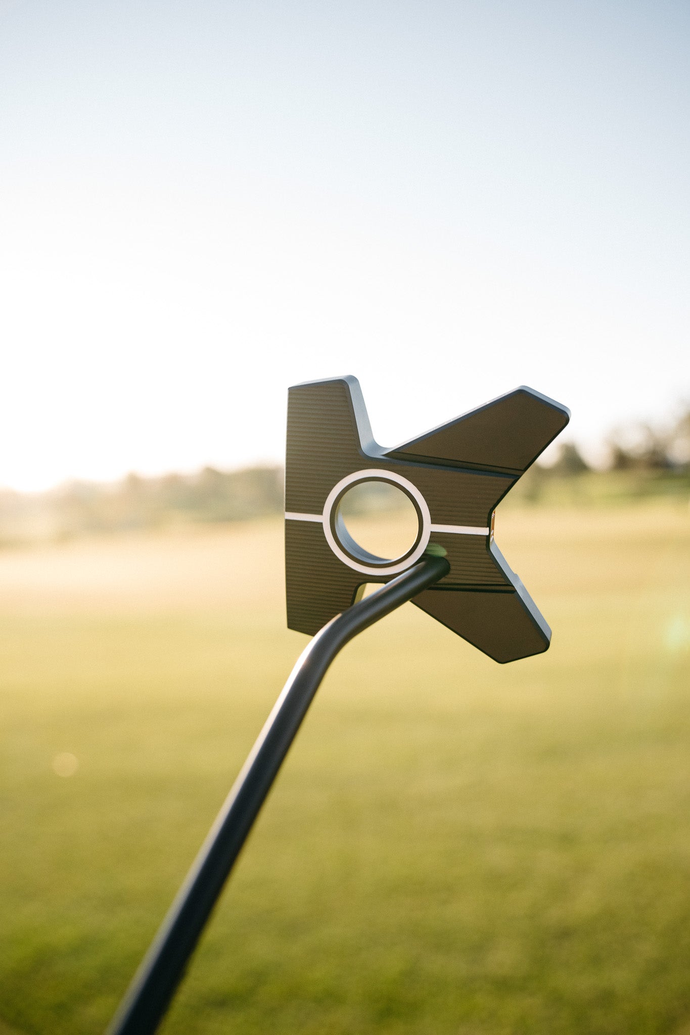 ER ZERO High MOI Mallet Putter